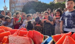 红领巾吃瓜网怎么进入,轻松一步，开启趣味娱乐新体验