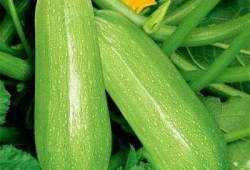 ym26.吃瓜网,ym26.吃瓜网背后的故事与真相