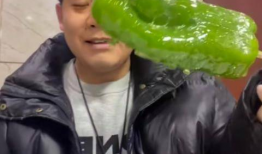 网红塌房视频吃瓜,揭秘娱乐圈背后的真相与八卦